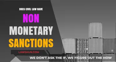 Exploring Non-Monetary Sanctions in Civil Law: Alternatives and Applications