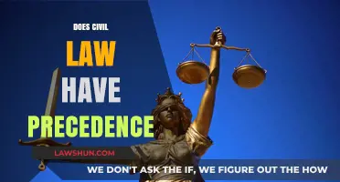 Does Civil Law Have Precedence? Exploring Legal Hierarchy and Impact