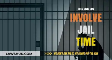 Does Civil Law Lead to Jail Time? Understanding Legal Consequences