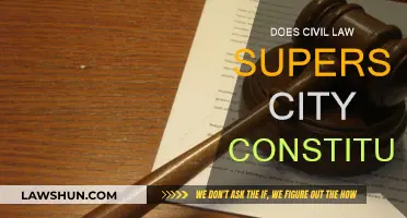 Civil Law vs City Constitution: Who Wins?