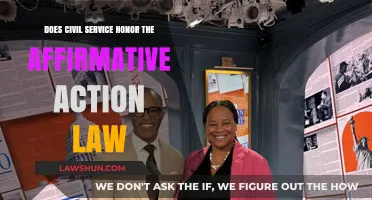 Does Civil Service Uphold Affirmative Action Law? A Critical Analysis