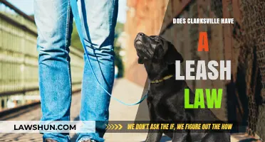 Exploring Clarksville's Leash Laws: A Guide for Dog Owners
