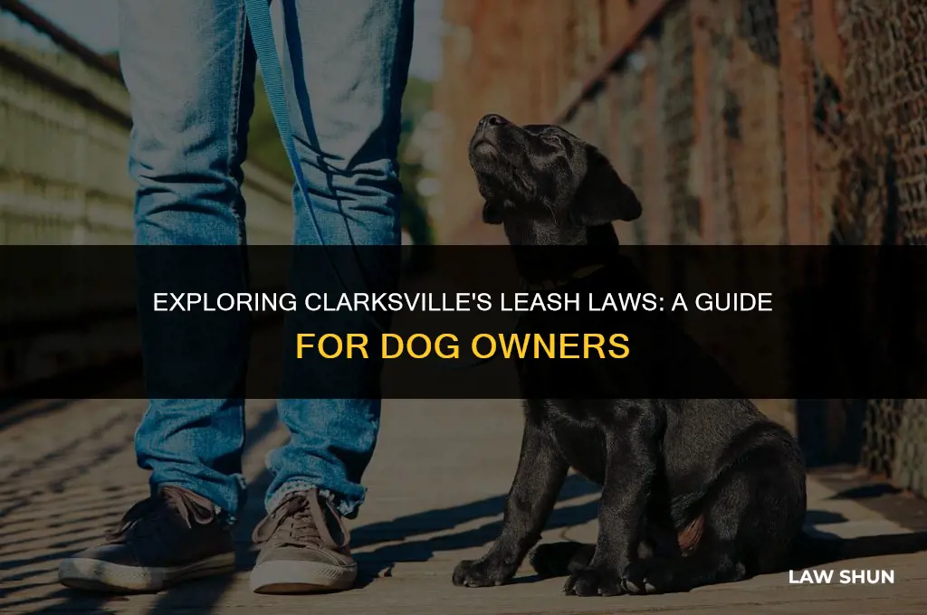 does clarksville have a leash law