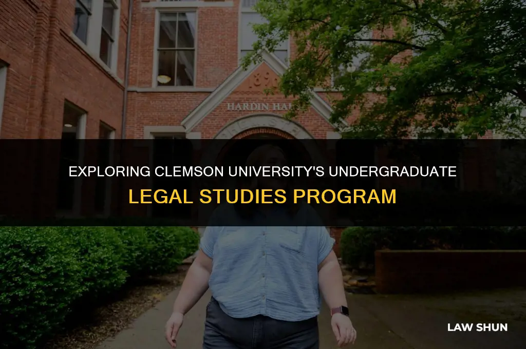 does clemson have a law major