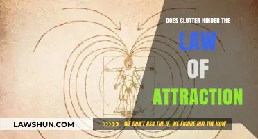 Clutter's Impact: How Disorder Affects Manifesting Your Desires