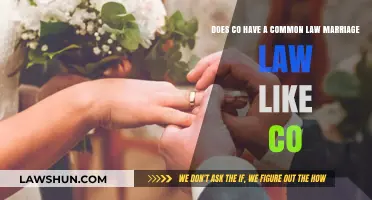 Common Law Marriage: CO vs. Other States