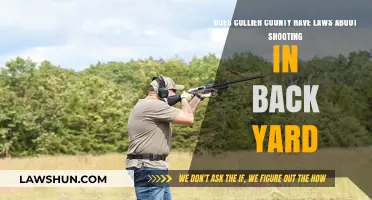 Collier County Backyard Shooting Laws: What You Need to Know