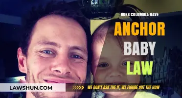 Understanding Colombia's Citizenship Laws: The Anchor Baby Debate