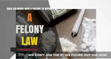 Colorado's Duty to Report Felonies: Legal Obligations Explained