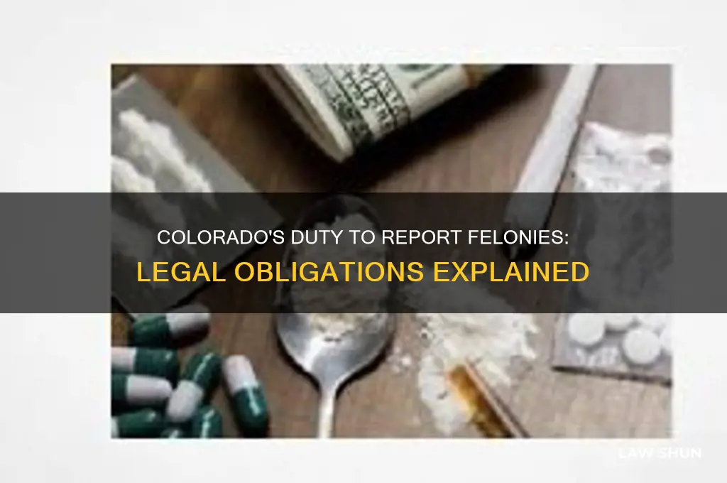 does colorado have a failure to report a felony law