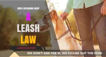 Exploring Colorado's Leash Laws: What Every Dog Owner Should Know