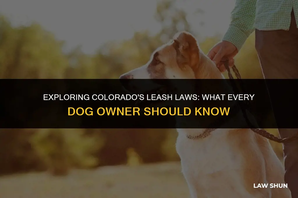does colorado have a leash law