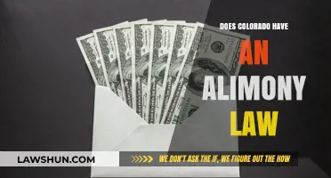 Understanding Alimony Laws in Colorado: A Comprehensive Guide