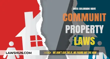 Understanding Colorado's Marital Property Laws: Community Property or Equitable Distribution?