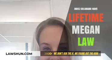 Lifetime Megan's Law in Colorado: Understanding the Long-Term Implications