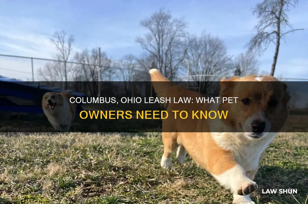 does columbus ohio have a leash law