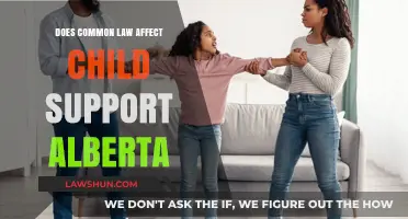 Common-Law Couples and Child Support in Alberta