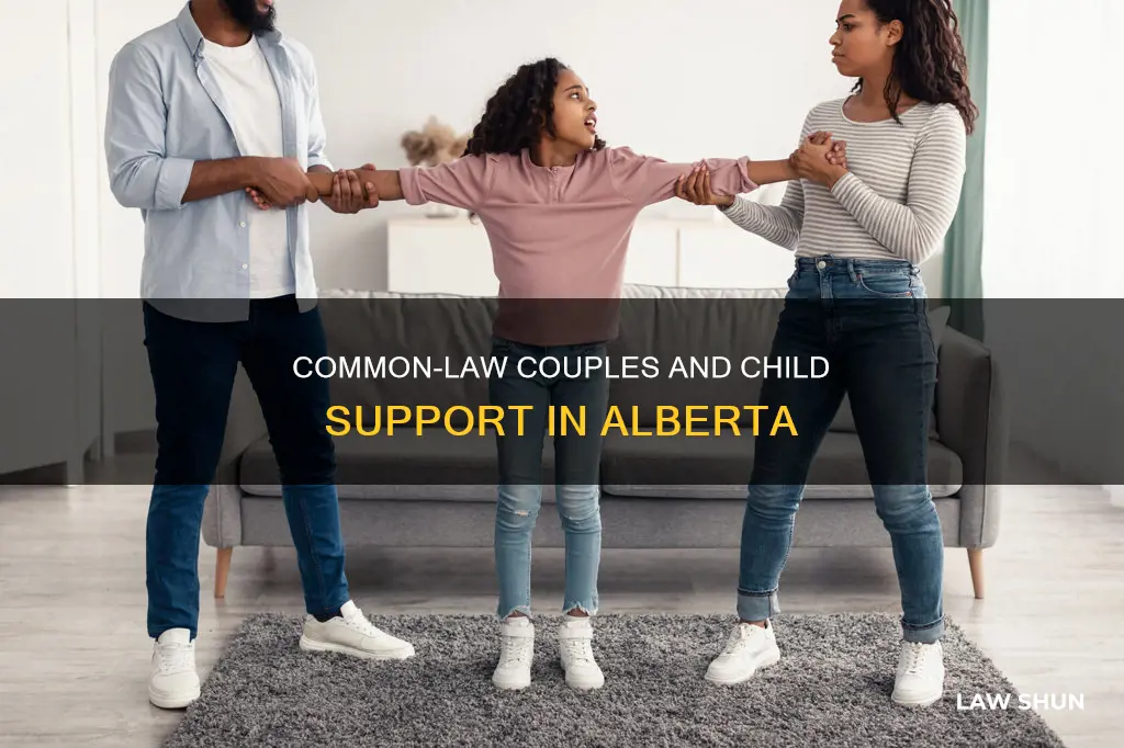 does common law affect child support alberta