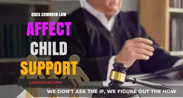 Common Law and Child Support: How Are They Linked?