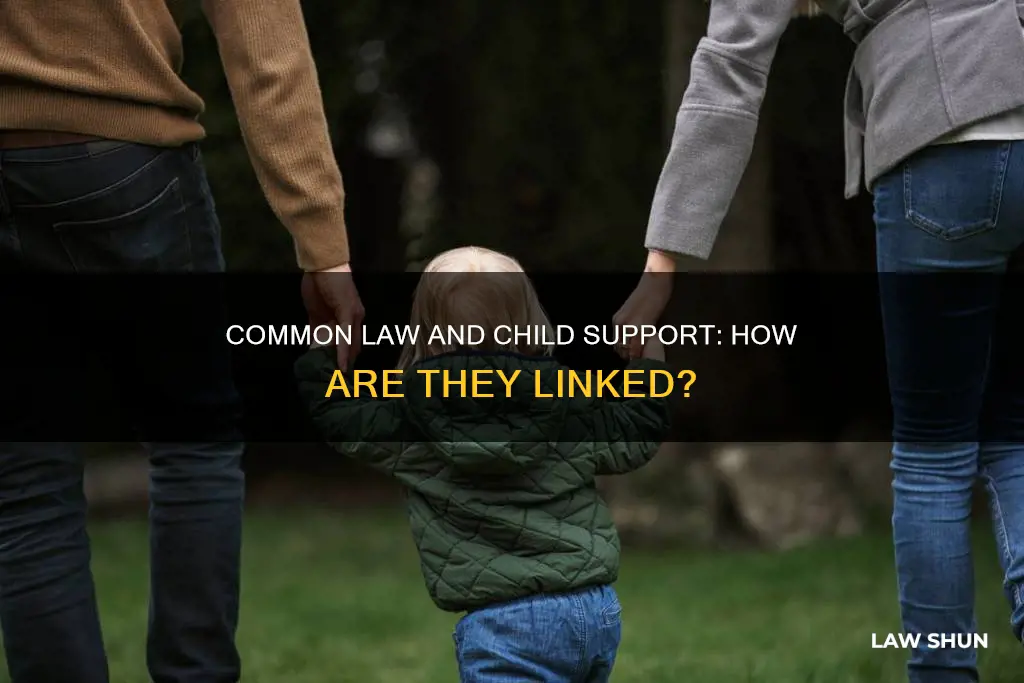 does common law affect child support