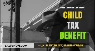 Common-Law Partners: Child Tax Benefits Explained
