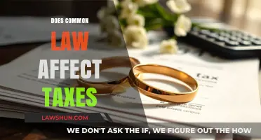 Common-Law Taxes: What You Need to Know