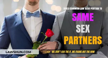 Common-Law Recognition for Same-Sex Partners