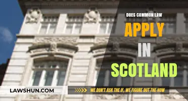 Common Law in Scotland: What's the Deal?