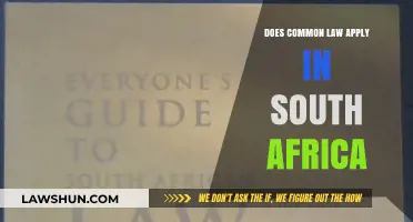 South Africa's Common Law System: How It Works