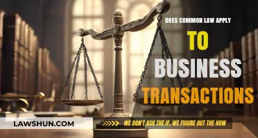 Common Law: Business Transactions and Their Legal Boundaries