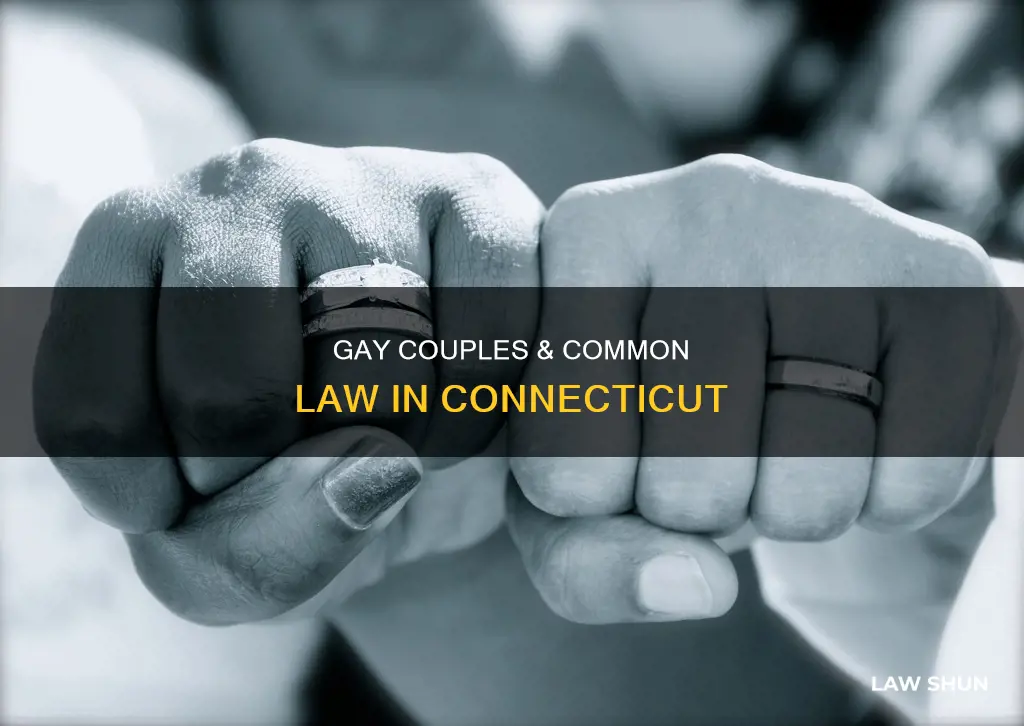 does common law apply to gay couples in ct