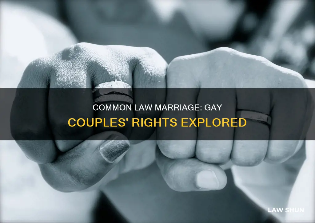 does common law apply to gay couples