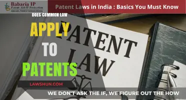 Patent Law: Common Law Influence