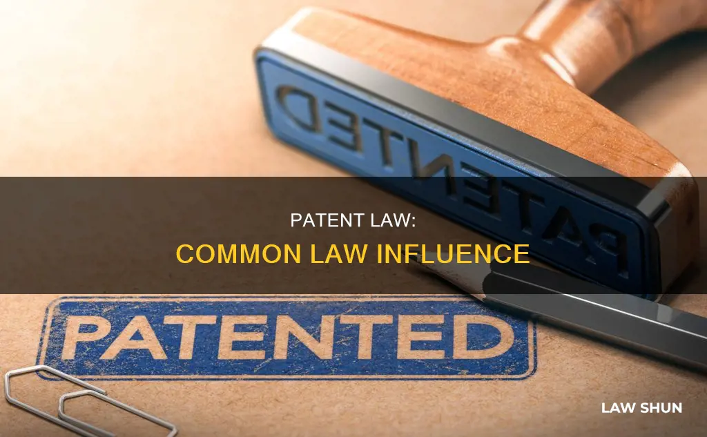 does common law apply to patents
