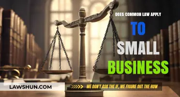 Common Law and Small Businesses: What You Need to Know