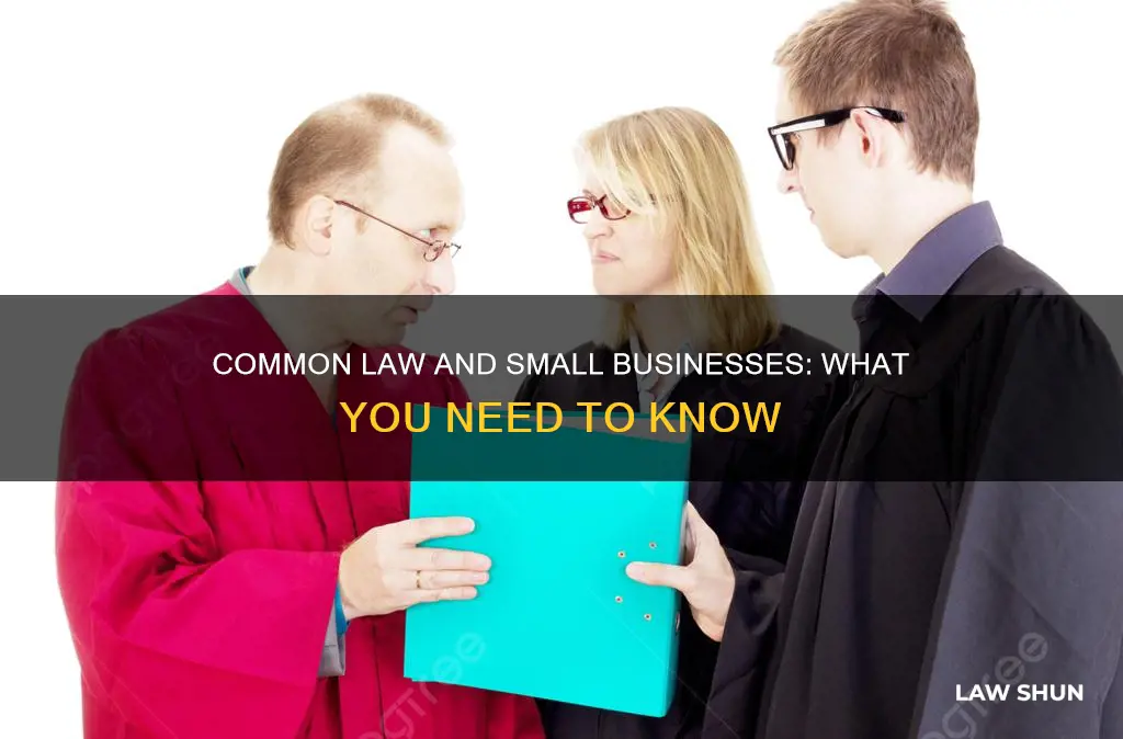 does common law apply to small business