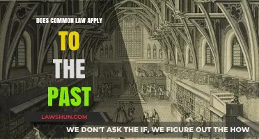 Common Law: Retroactive Application Explained