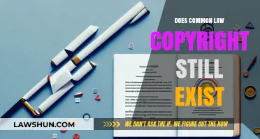 Copyright Law: Understanding Common Law's Relevance Today