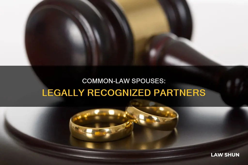 does common law count as spouse