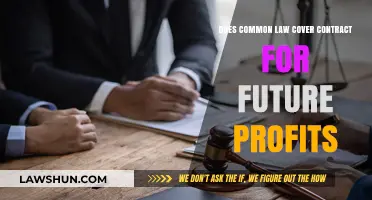Common Law: Future Profit Contracts Explained