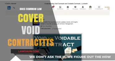 Understanding Common Law's Take on Void Contracts