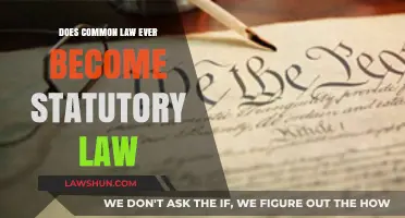 How Common Law Transforms into Statutory Law