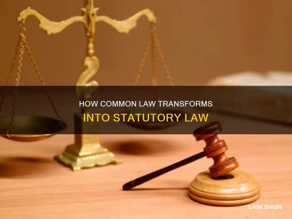 does common law ever become statutory law