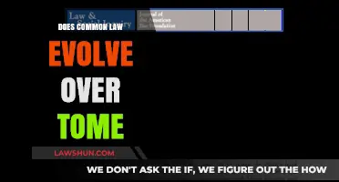 How Common Law Adapts to Time's Test