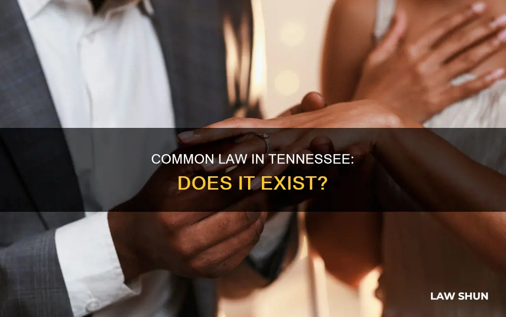 does common law exist in tenn
