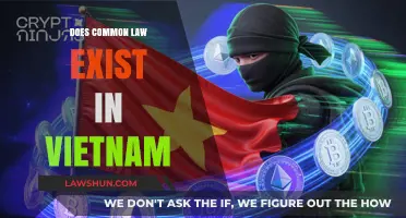 Common Law in Vietnam: A Valid Concept?