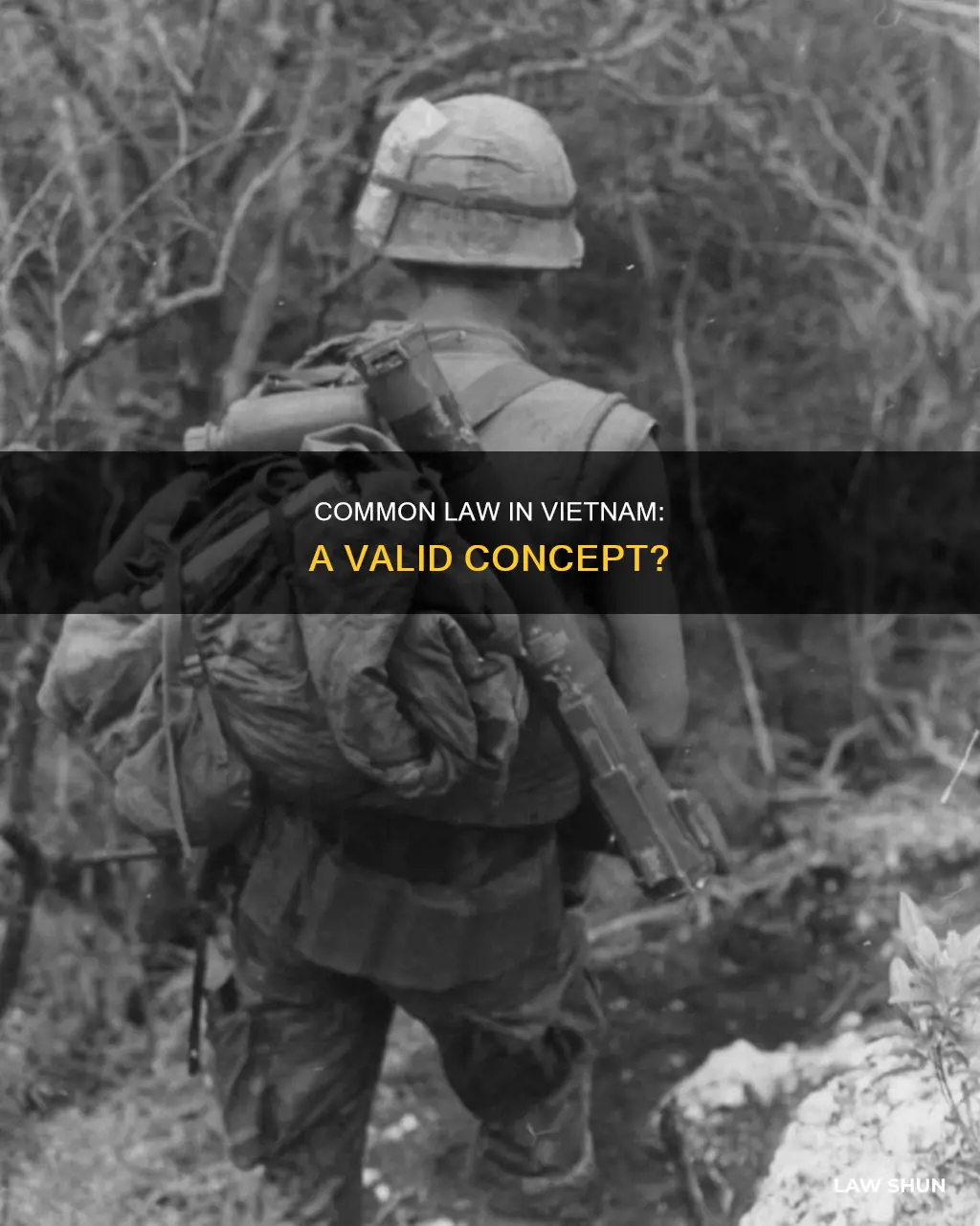 does common law exist in vietnam