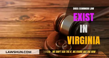 Common Law in Virginia: Does It Exist?