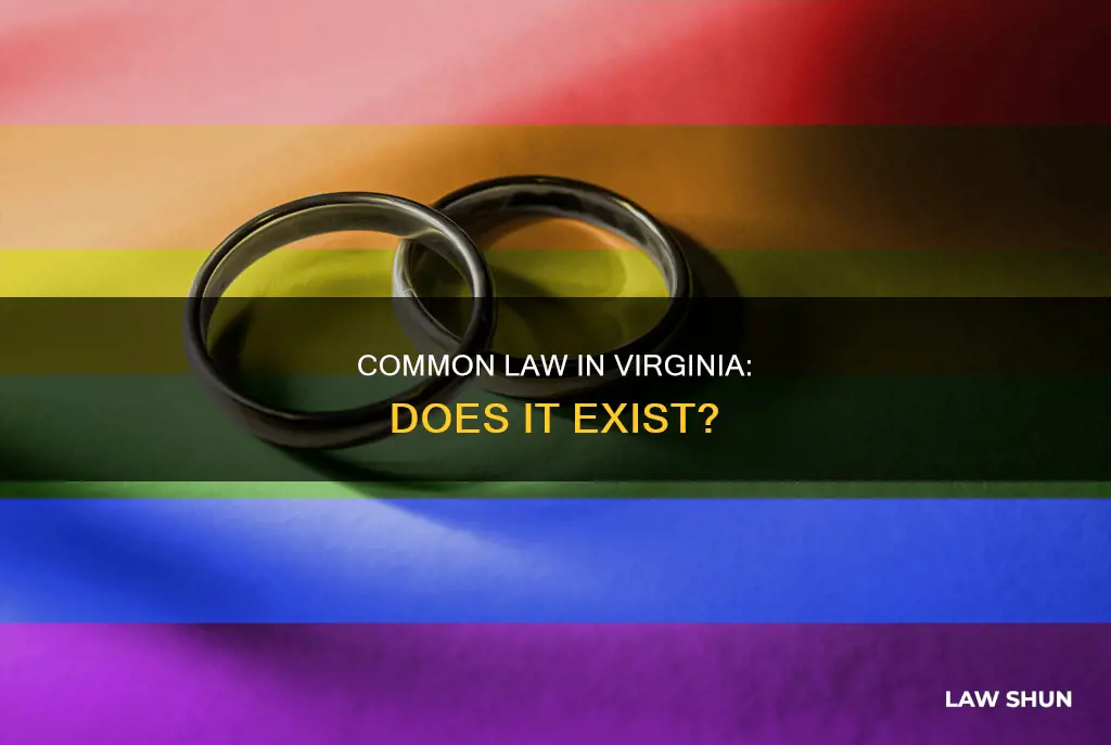 does common law exist in virginia