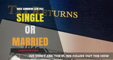 Common-Law Marriage: Filing Taxes as a Couple